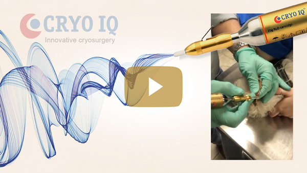 Using CryoIQ PRO cryo pen with D3 tip, treating lesion on the ear