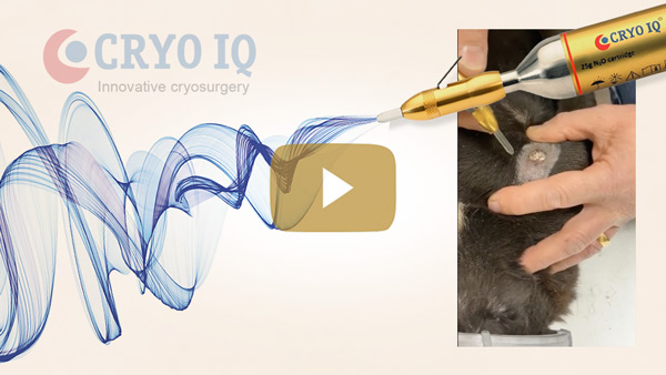 using CryoIQ PRO cryo pen with D3 tip, treating a bleading Papilloma close to the neck