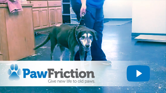 PawFriction - Give New Life to Old Paws - Case Study 2