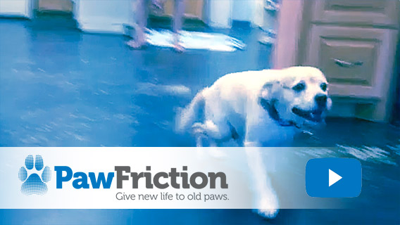 PawFriction - Give New Life to Old Paws - Case Study 1
