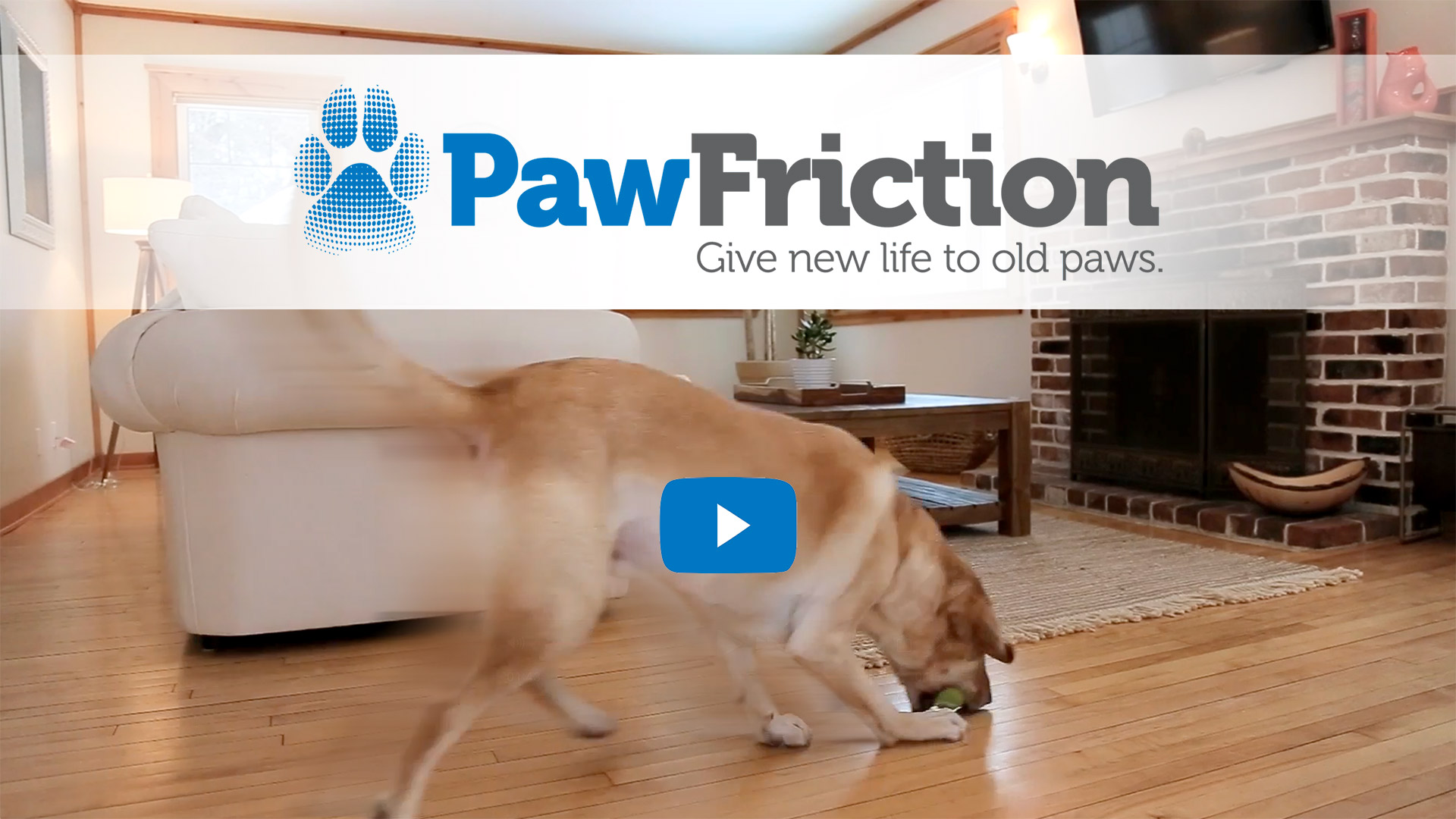 PawFriction - Give New Life to Old Paws - Instruction Video